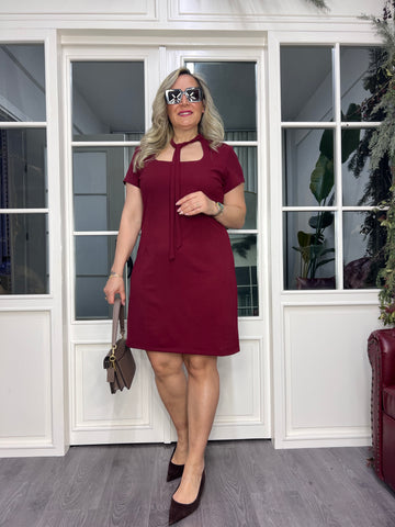 A02470 burgundy tie-neck stretchy short dress