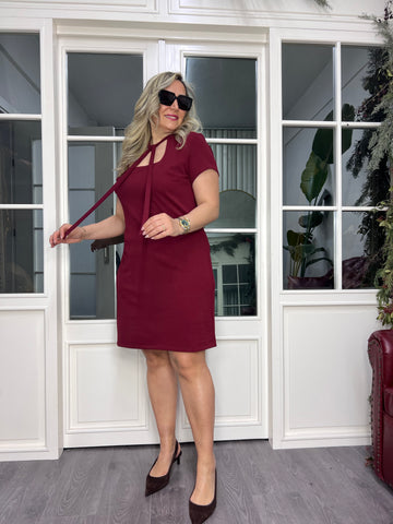 A02470 burgundy tie-neck stretchy short dress